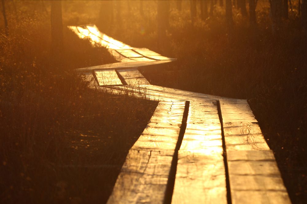 Photograph by Olga Smirnova