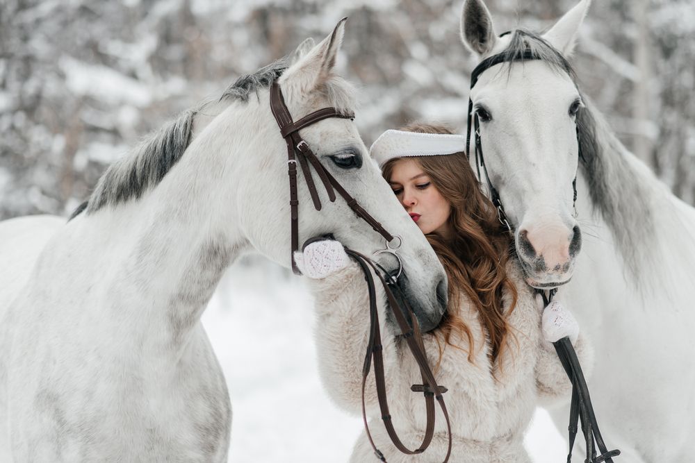 Photograph by Шахова Марина