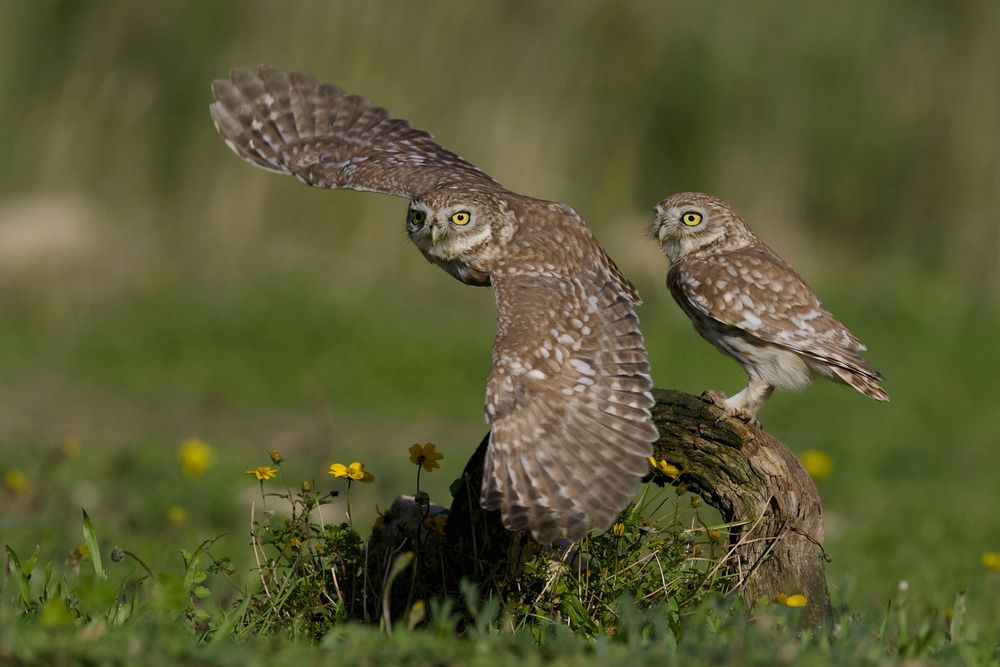 Photograph by David Manusevich