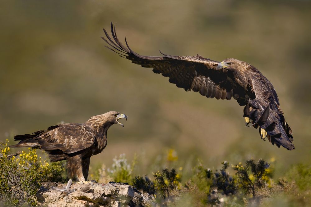 Photograph by David Manusevich