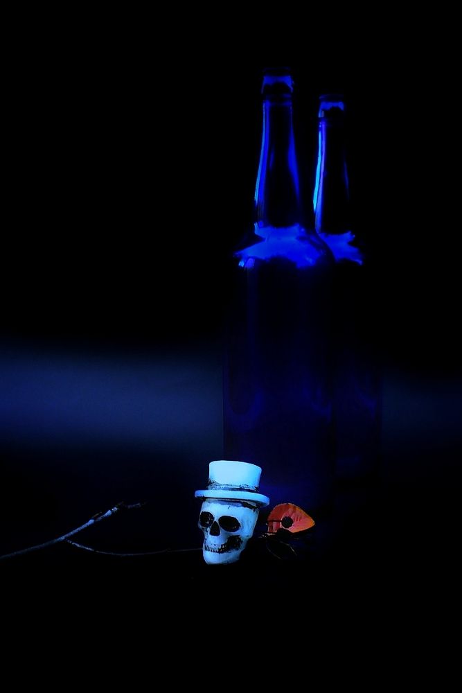 Фотография автора JELENA VASIC