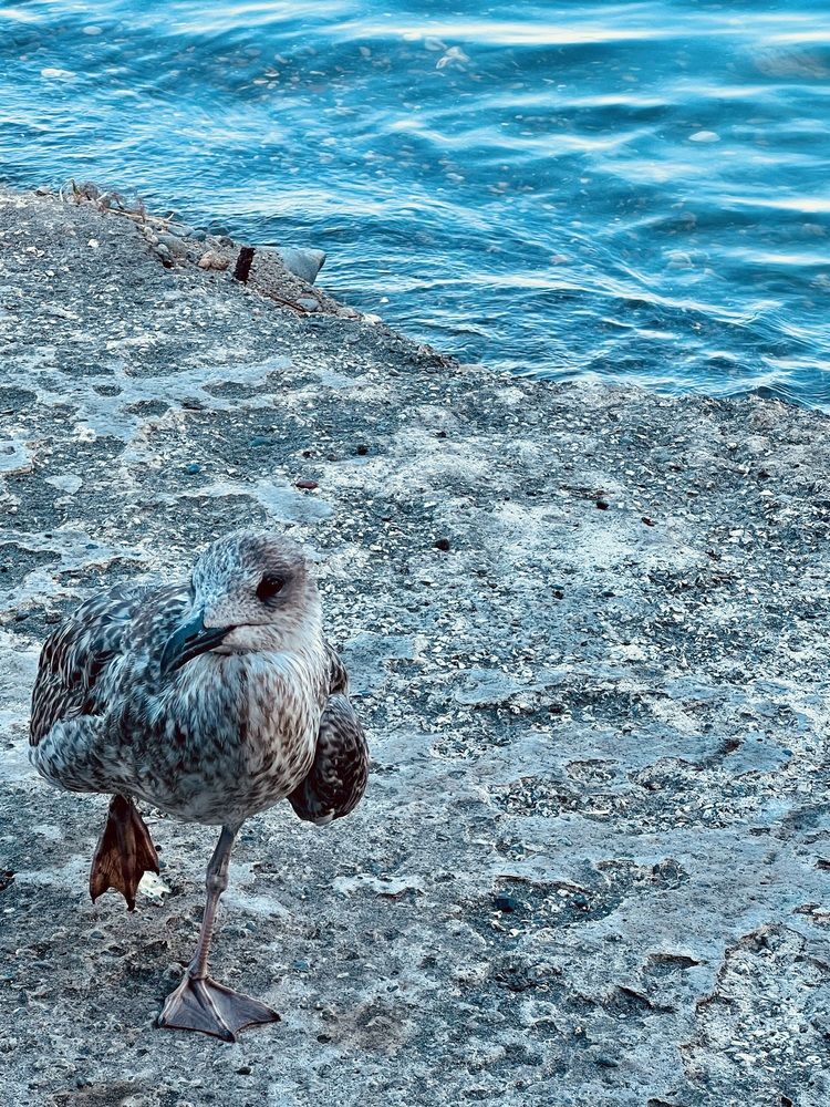 Photograph by Сюзанна