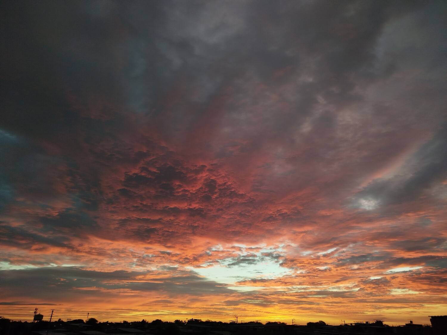 Photo #13096674