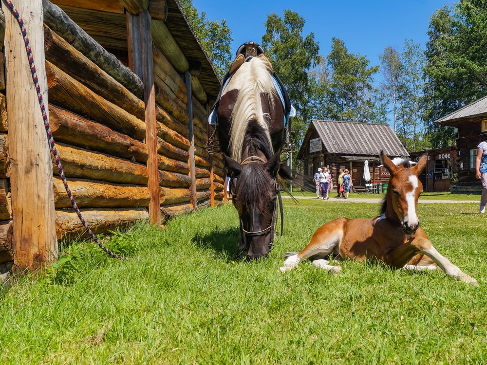 Photograph by Виктор Сёмушкин
