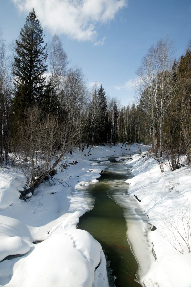 Photograph by Михаил Дронов