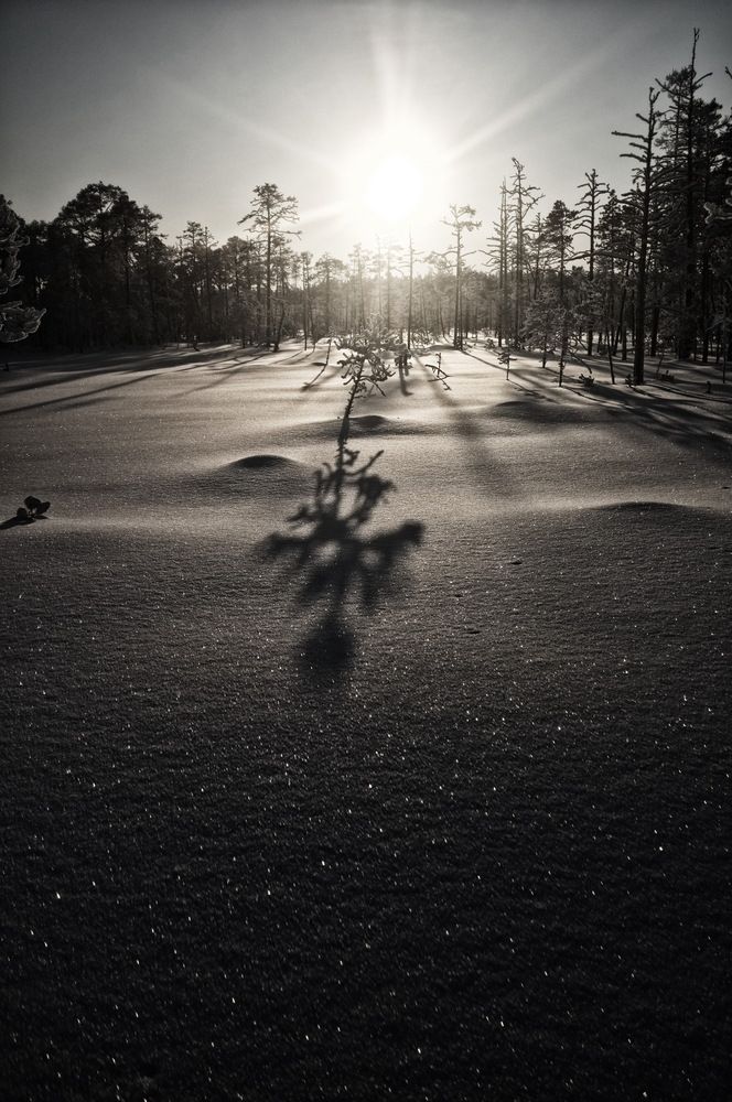 Photograph by Михаил Дронов