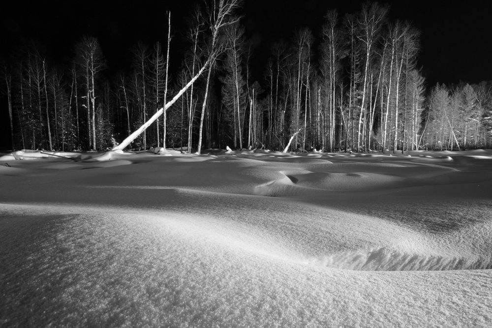 Photograph by Михаил Дронов