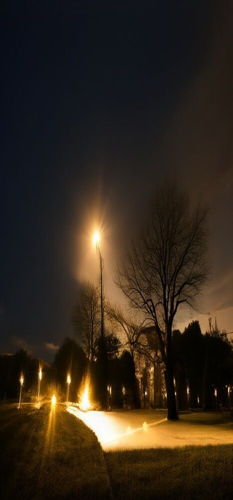 Photograph by R P