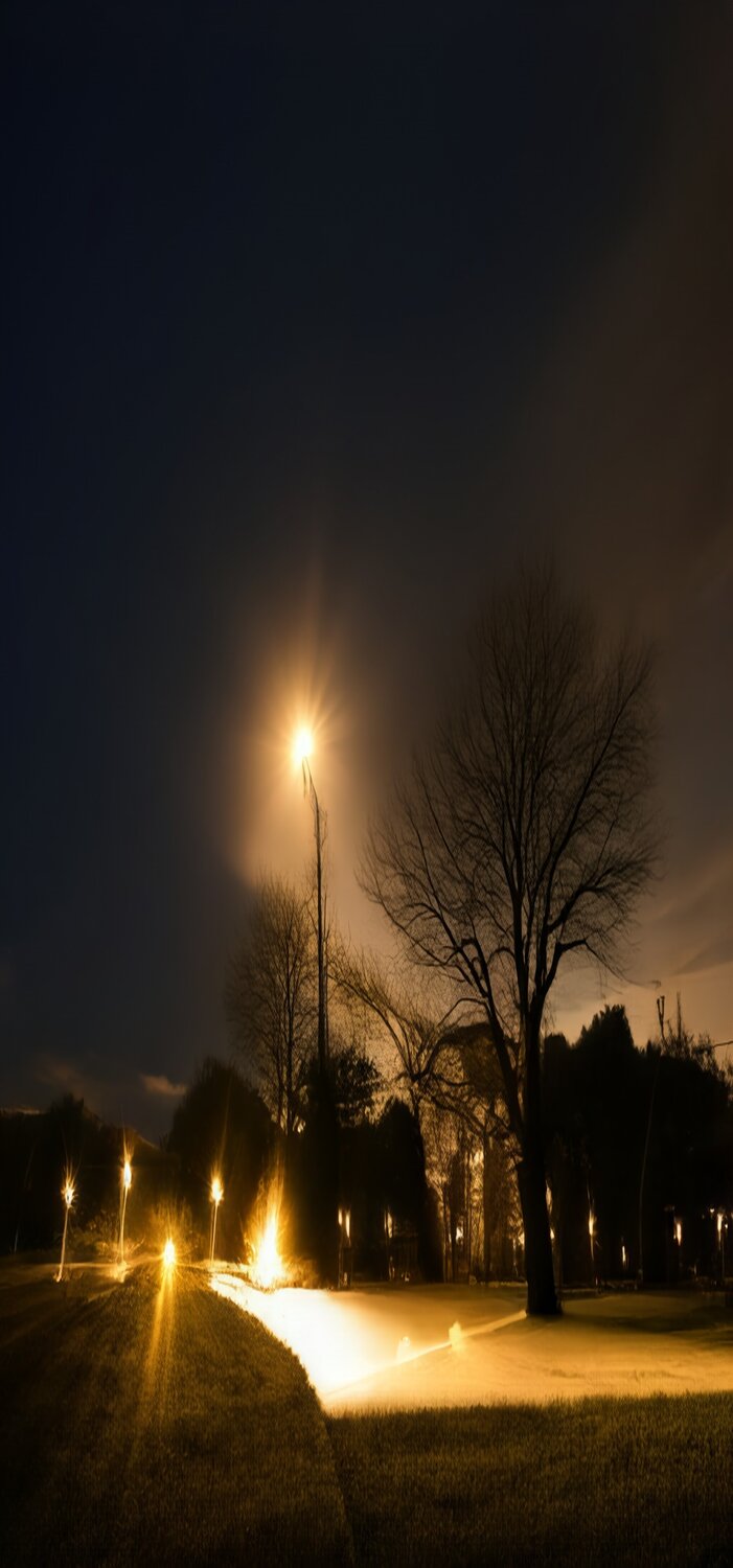 Photo #13096737