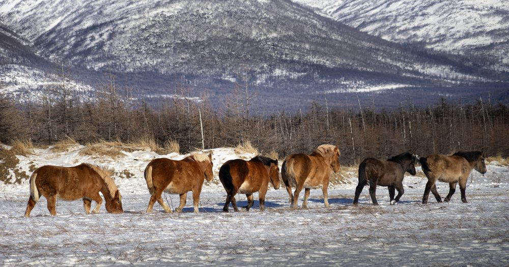 Photograph by Светлана Гореликова