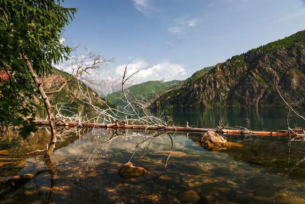 Фотография автора Кирилл Мазазолин