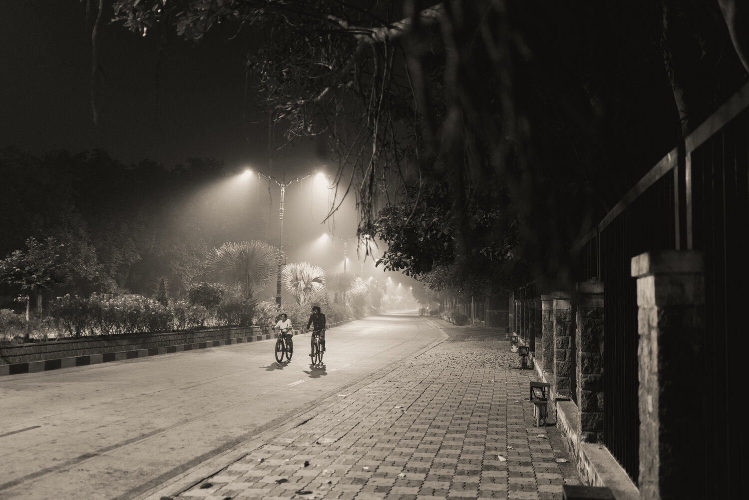 Photo #13096821
