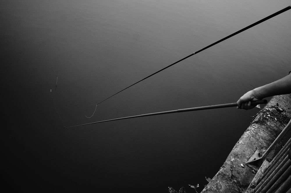 Photograph by Michael Le