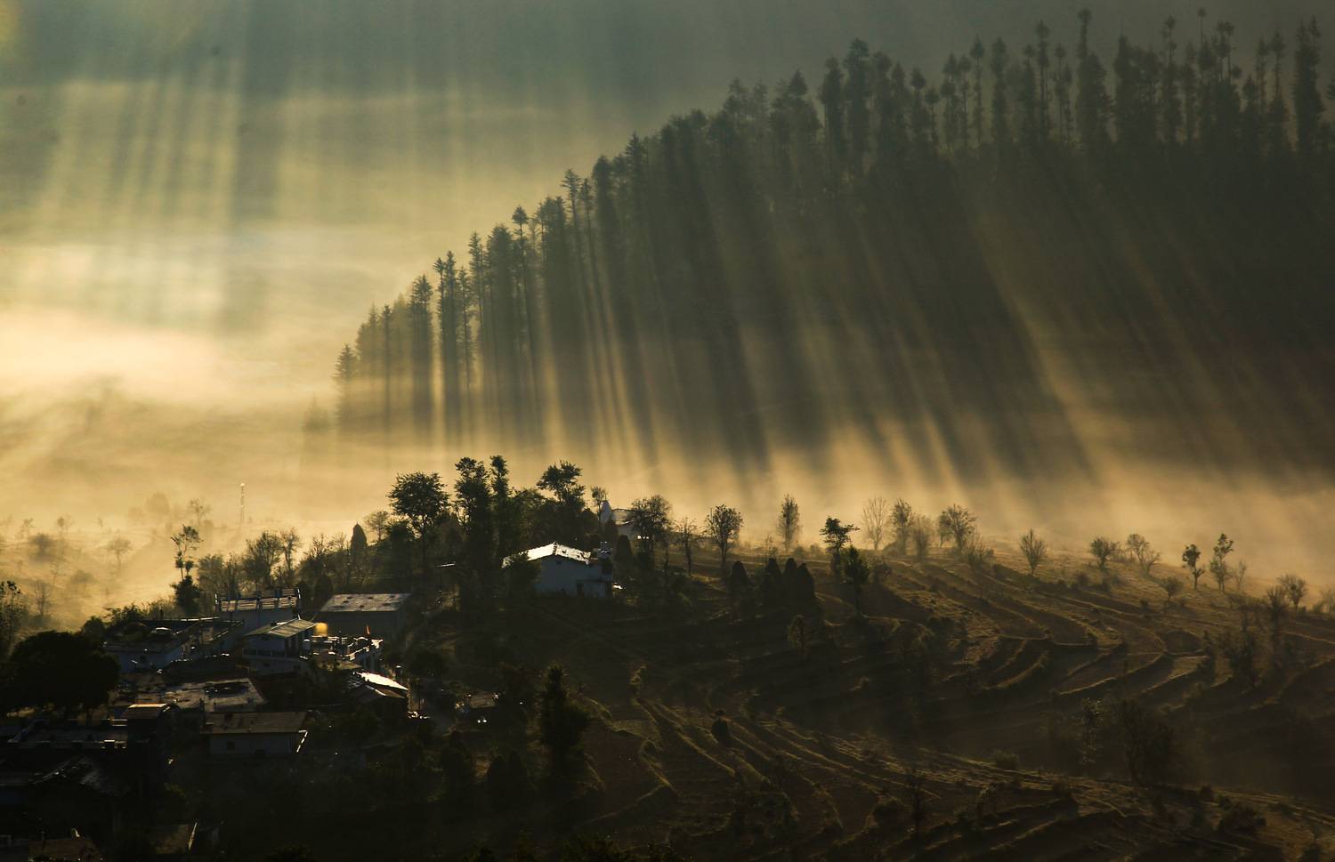 Фотография #13096889