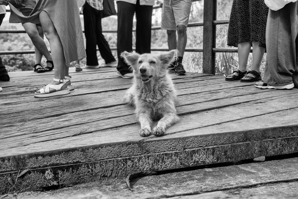 Photograph by Дмитрий Юдин