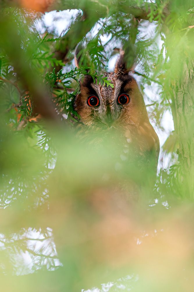 Photograph by Александр Лис