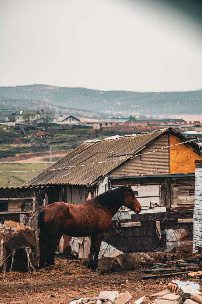 Photograph by Ирина