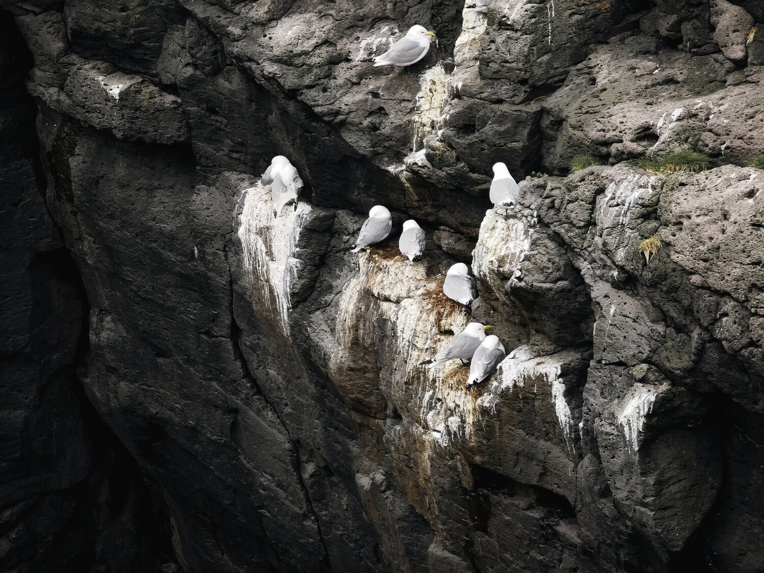 Photo #13096973