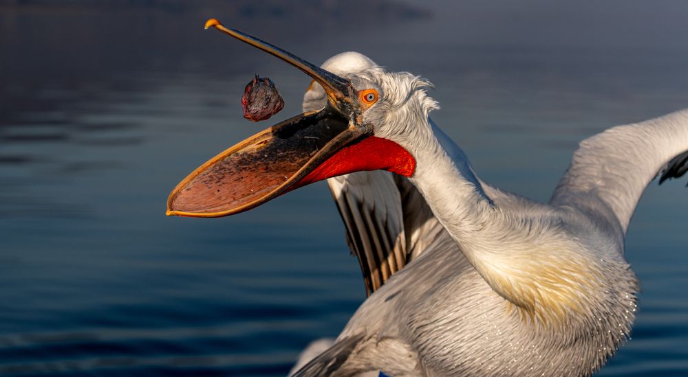 Photograph by Nikos Leonov