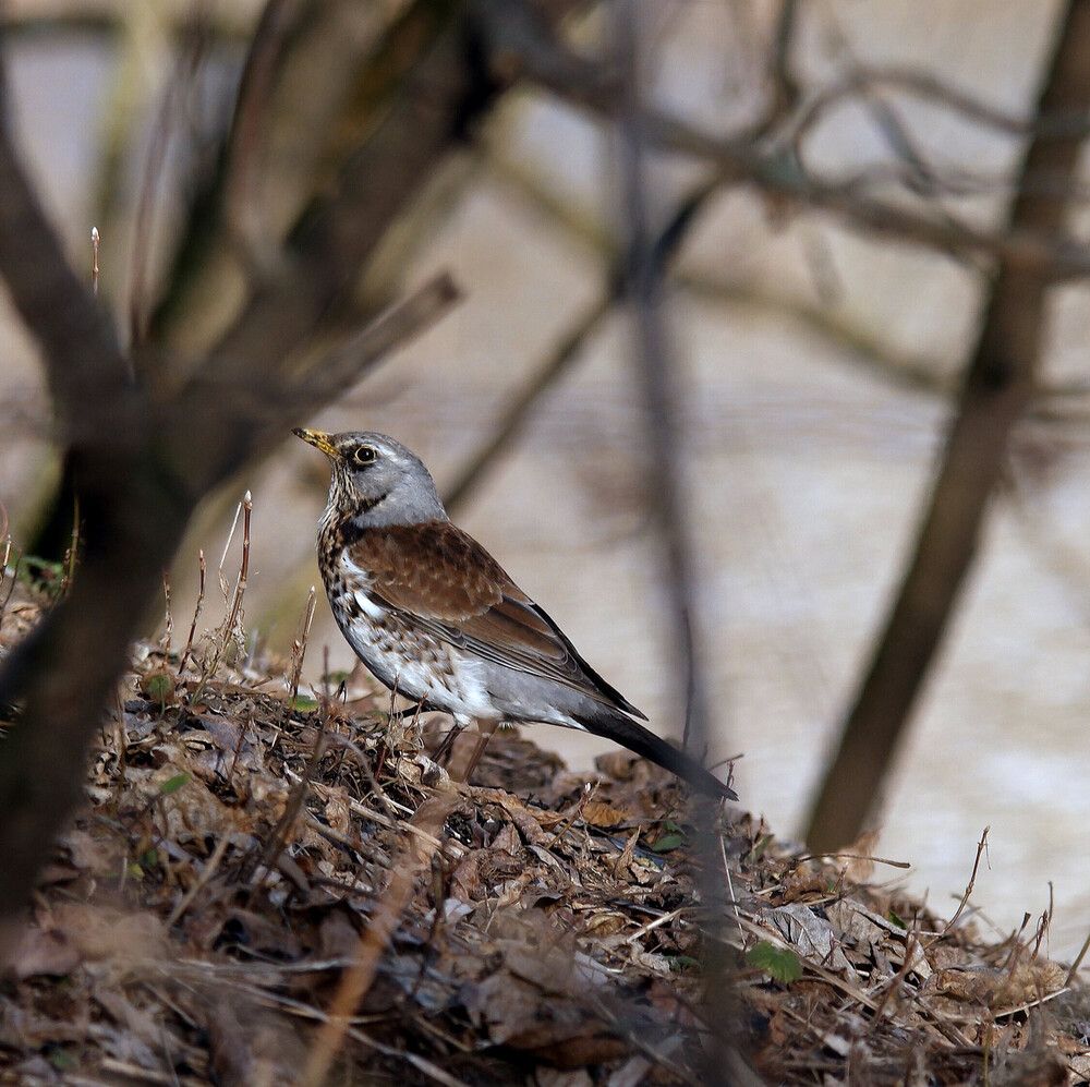 Photograph by Дмитрий Ткаченко