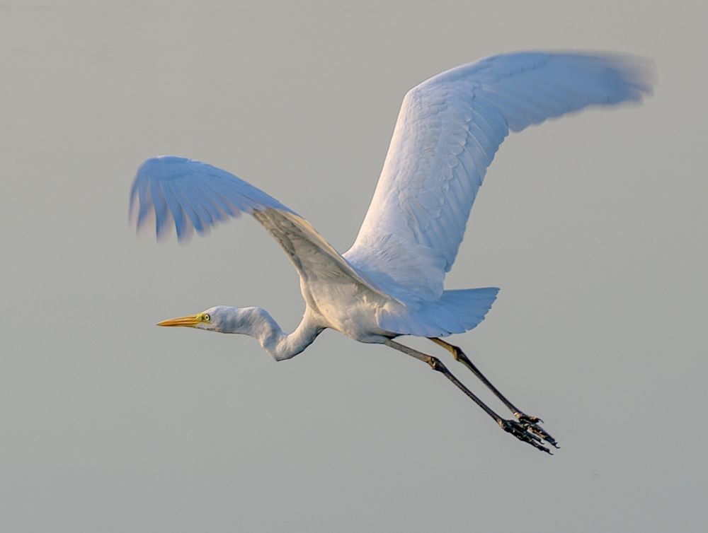 Photograph by Демьян Лопатов