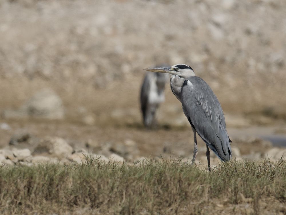 Photograph by Mina Saweris