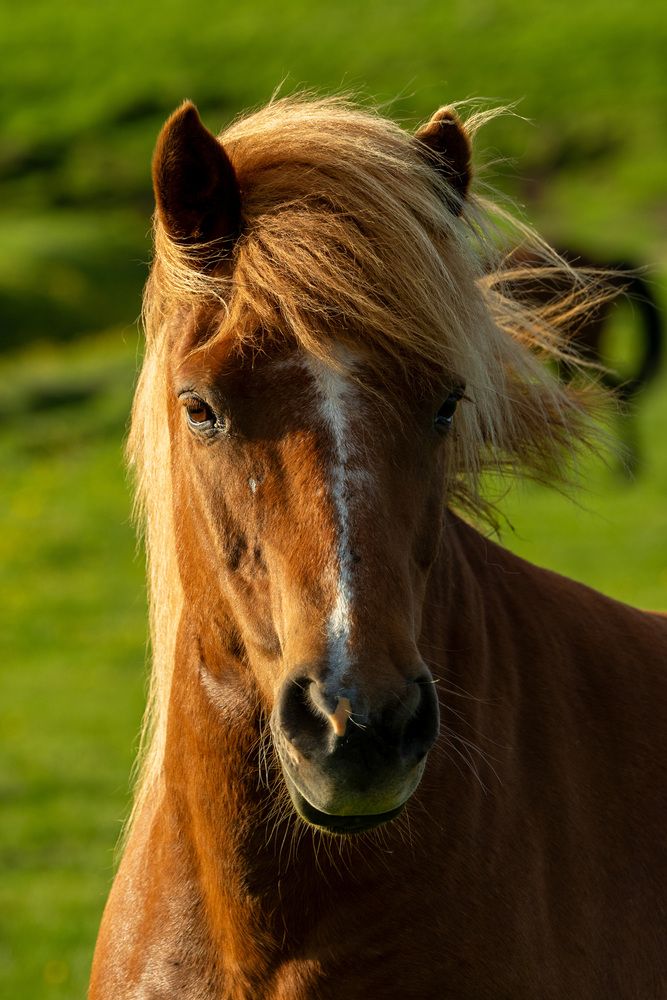 Фотография автора Ирина Зайцева