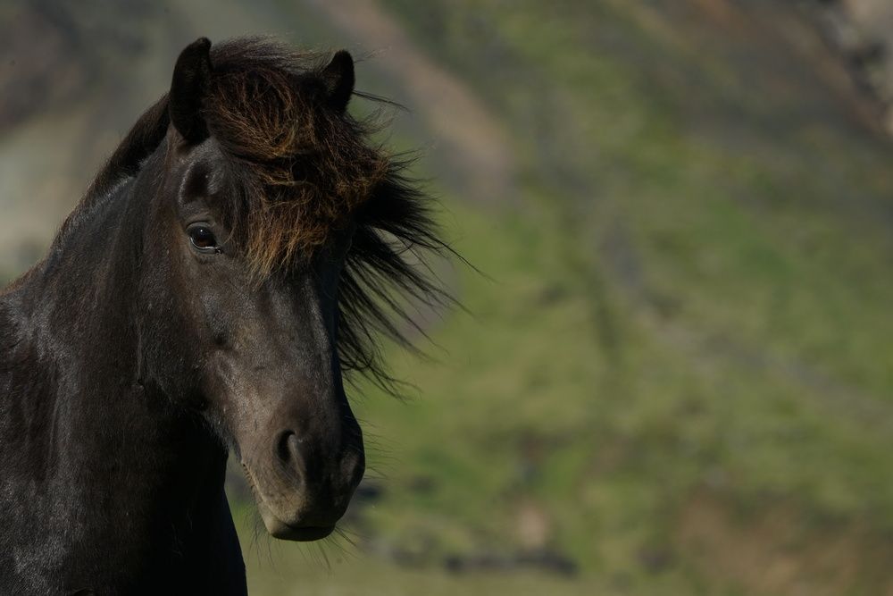 Фотография автора Ирина Зайцева