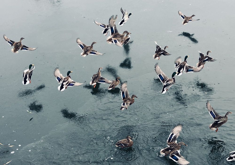 Photograph by Ксения Гулькова