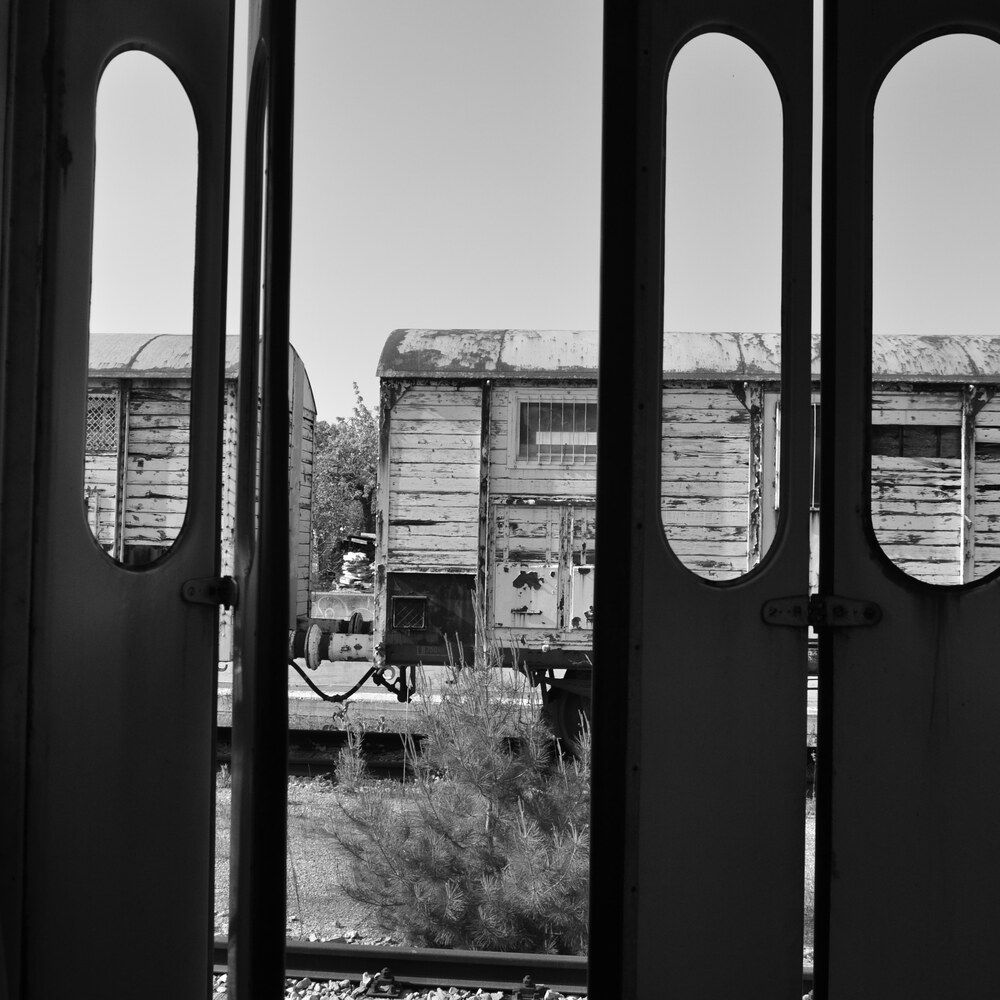 Photograph by Angelo Pascale
