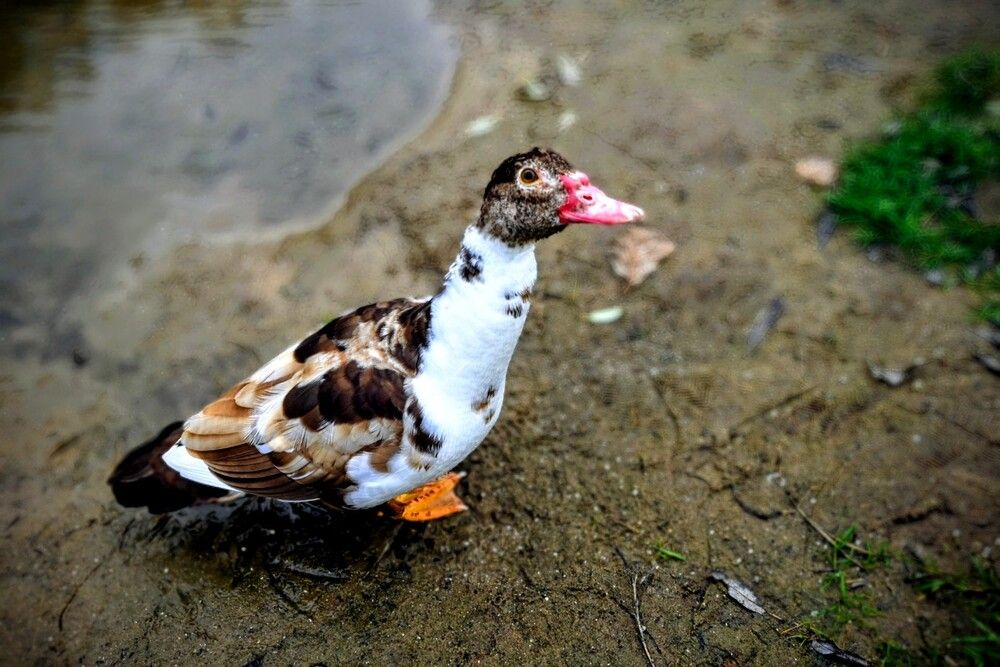 Photograph by Дарья Булавина