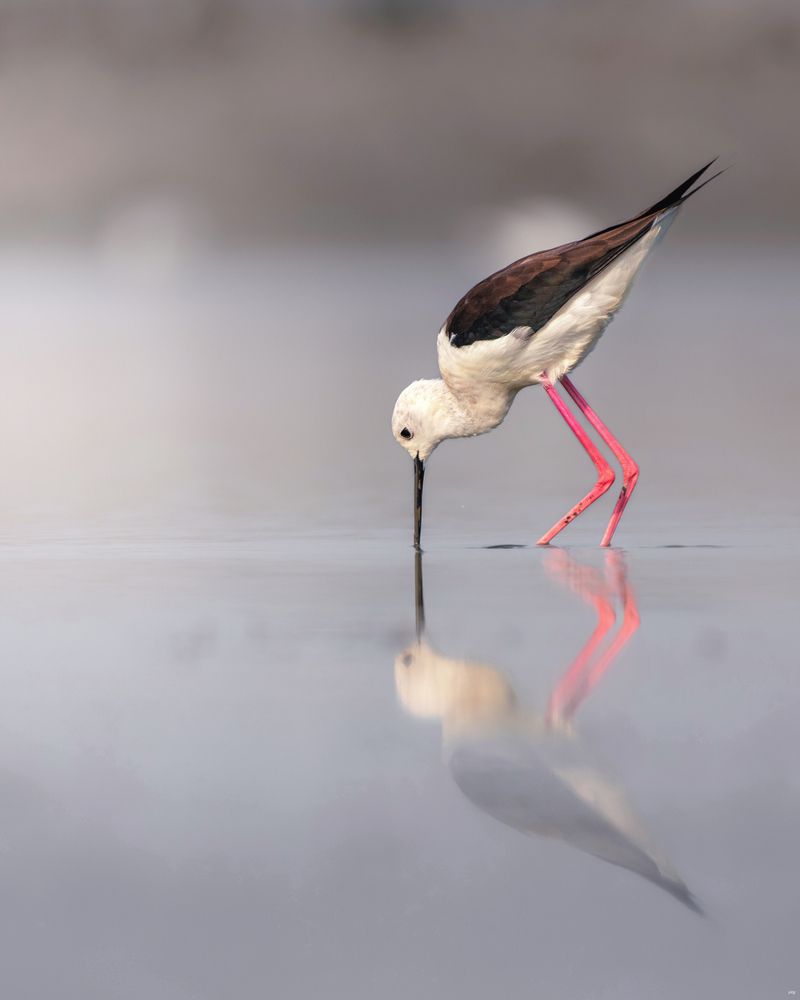 Photograph by Prabhat Ghosh