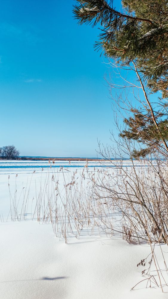 Photograph by Екатерина Никитина