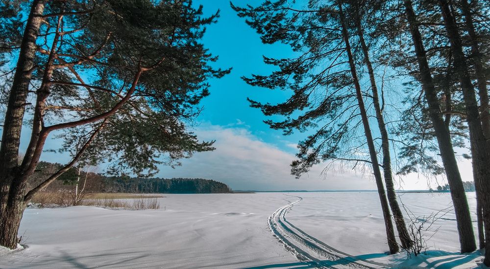 Photograph by Екатерина Никитина