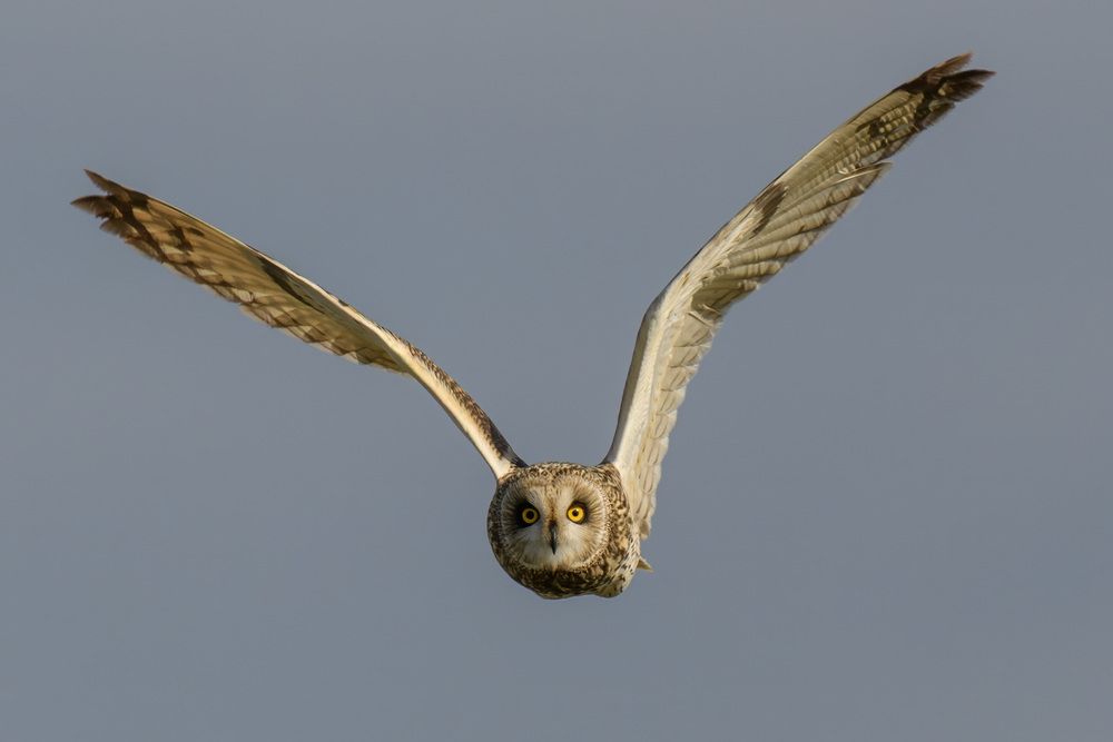 Photograph by Вячеслав Ладанов