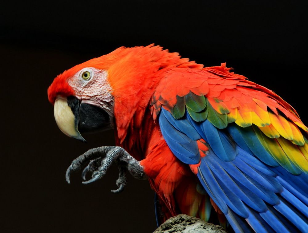 Photograph by Анастасия Смирнова