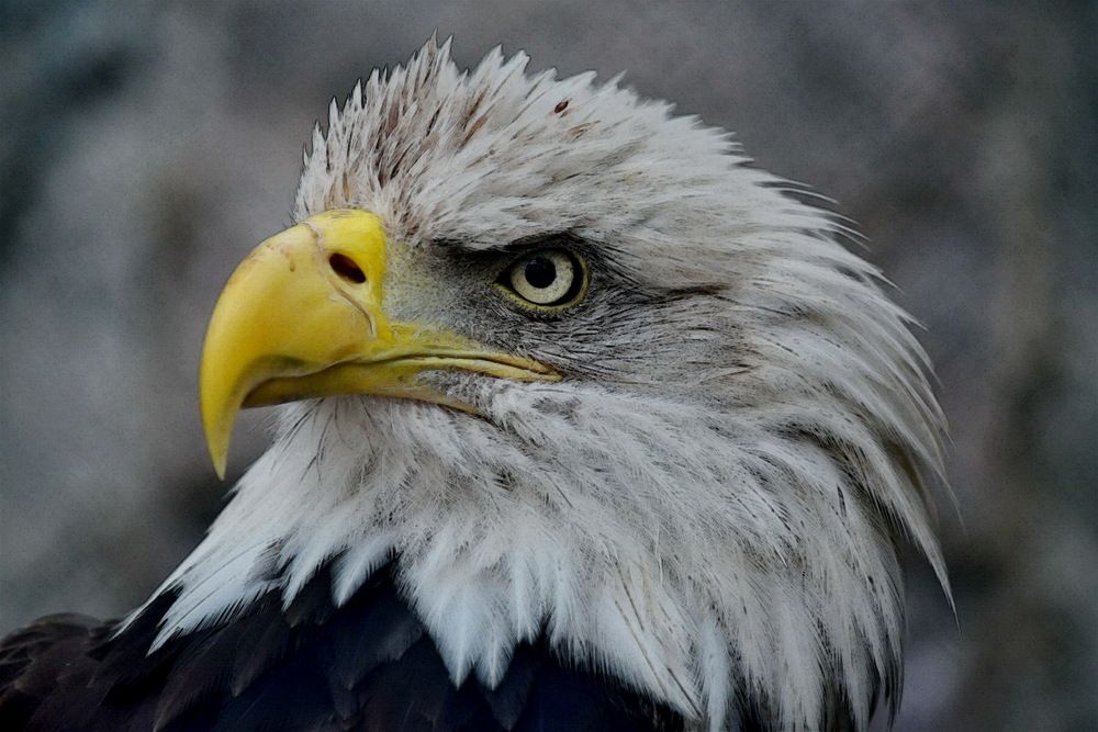 Photograph by Анастасия Смирнова