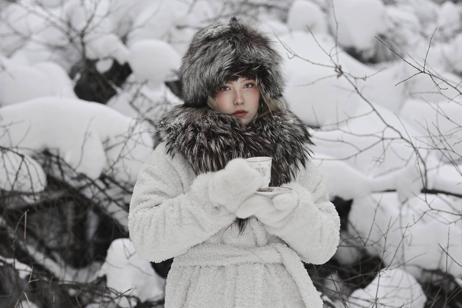 Фотография #13097235