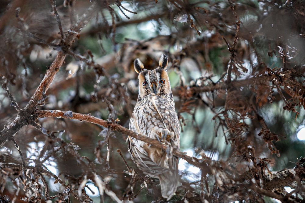 Photograph by Лупина Михаил