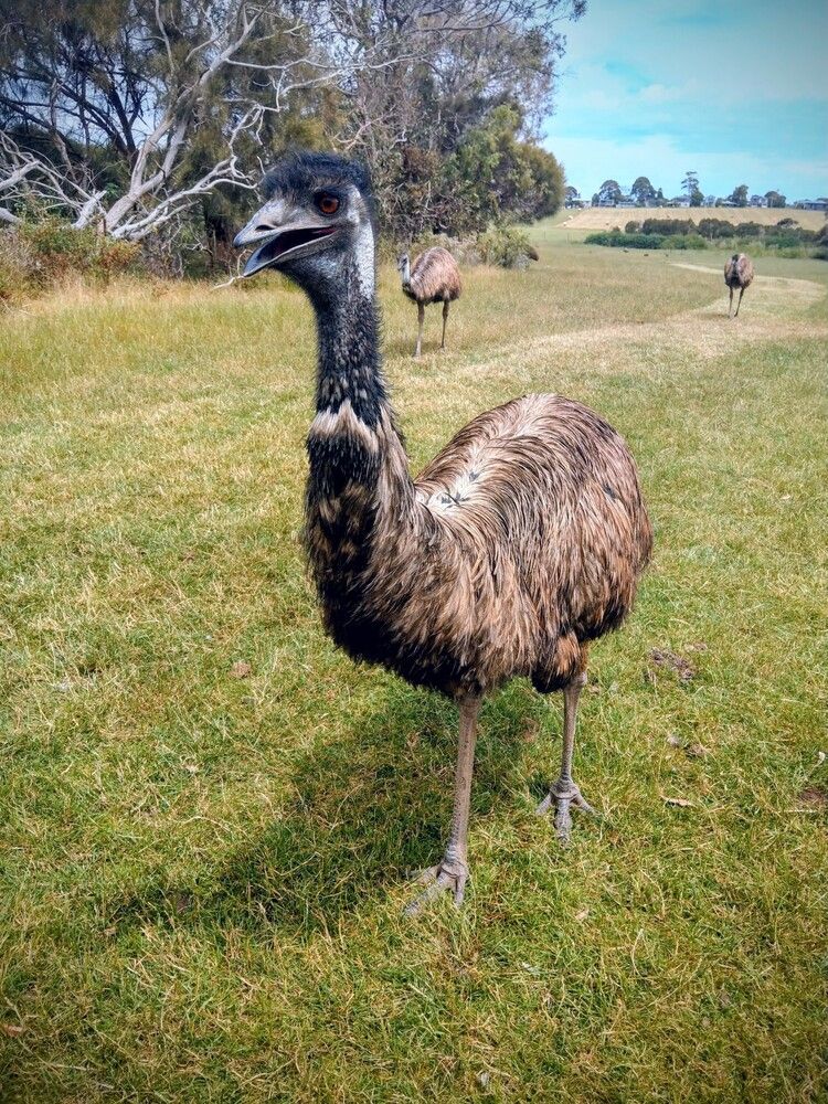 Photograph by Дарья Булавина