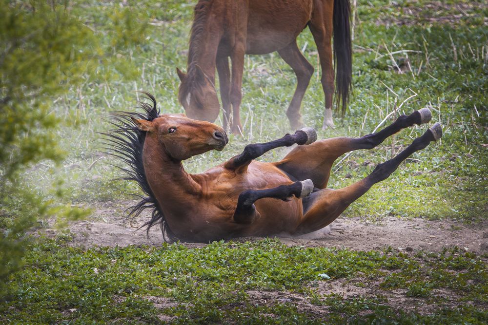 Photograph by Алексей Трубин