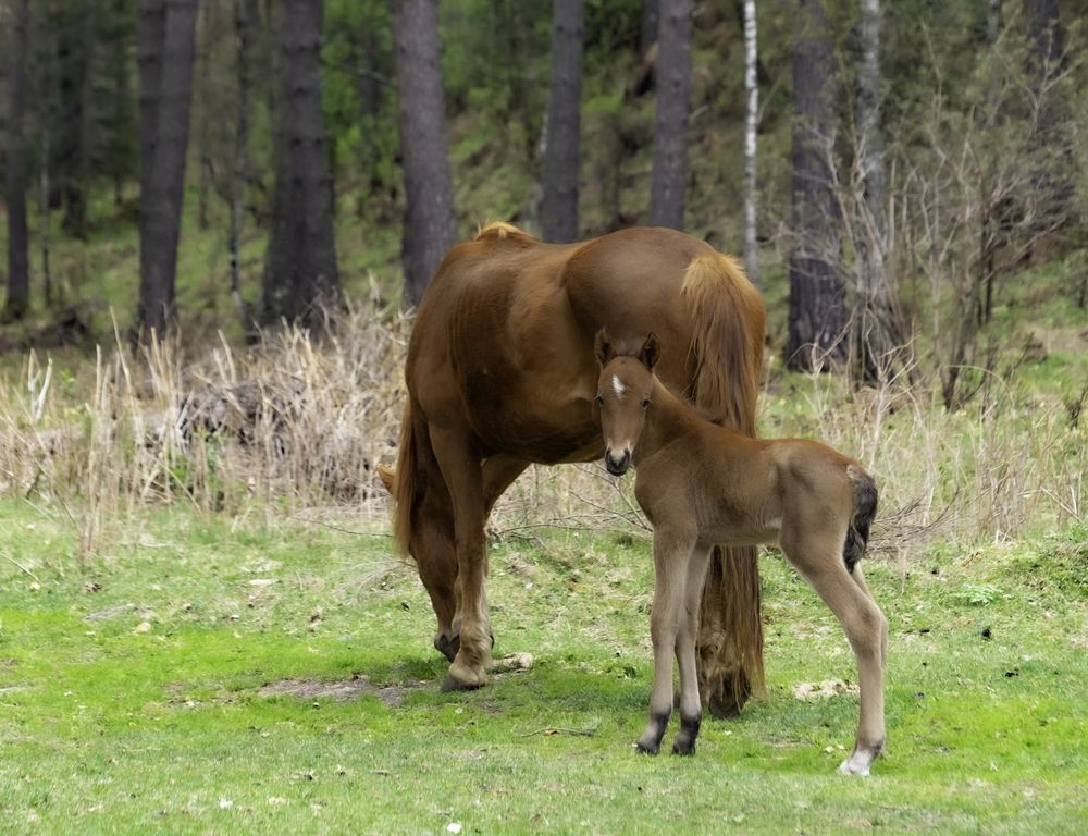 Фотография автора Ольга Челдыкова