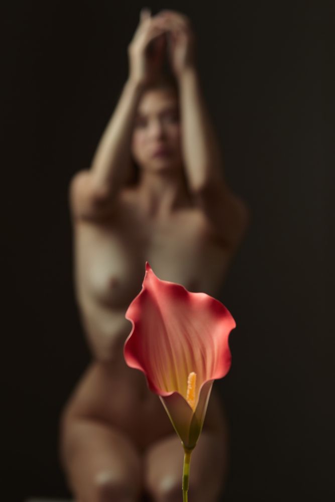 Фотография автора Max Solve