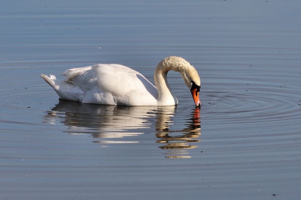 Photograph by Василий Колобзаров
