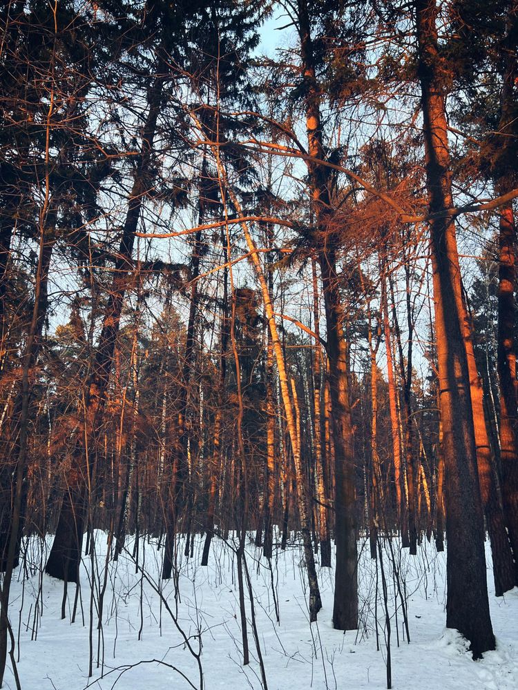 Фотография автора Галина Зубрикова