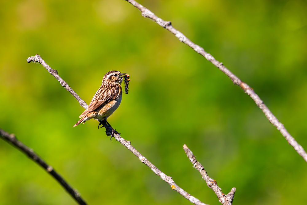 Photograph by Алексей Соколов