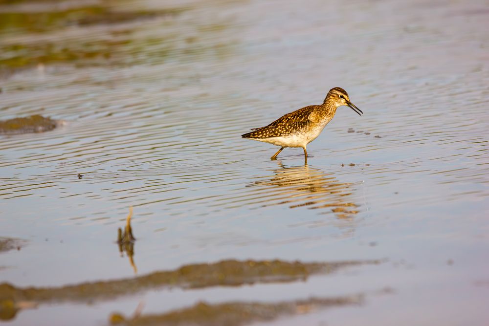 Photograph by Алексей Соколов
