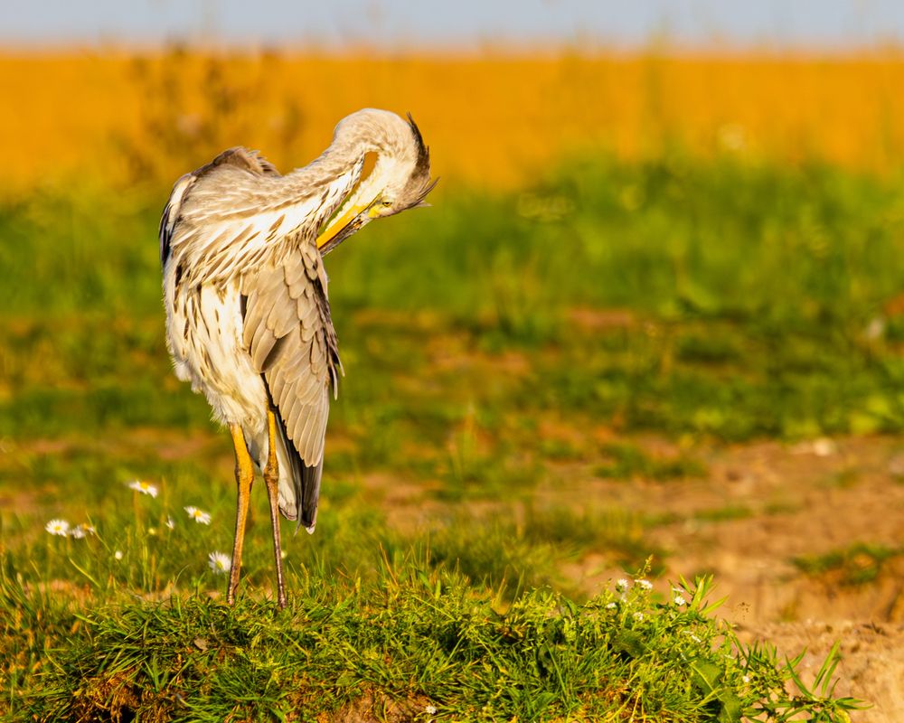 Photograph by Алексей Соколов