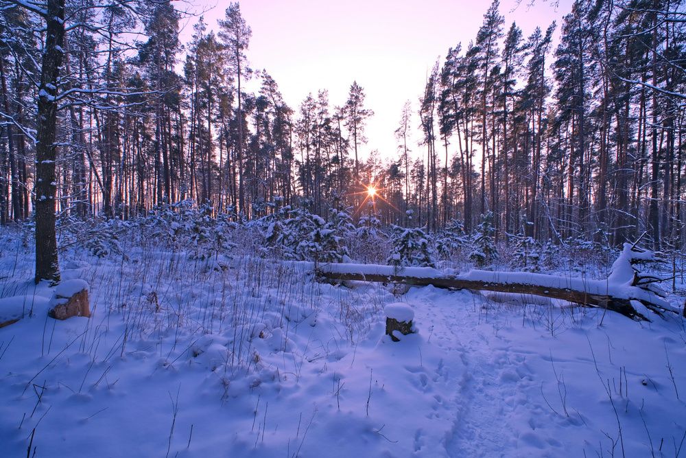 Photograph by Vitalijs Kopa