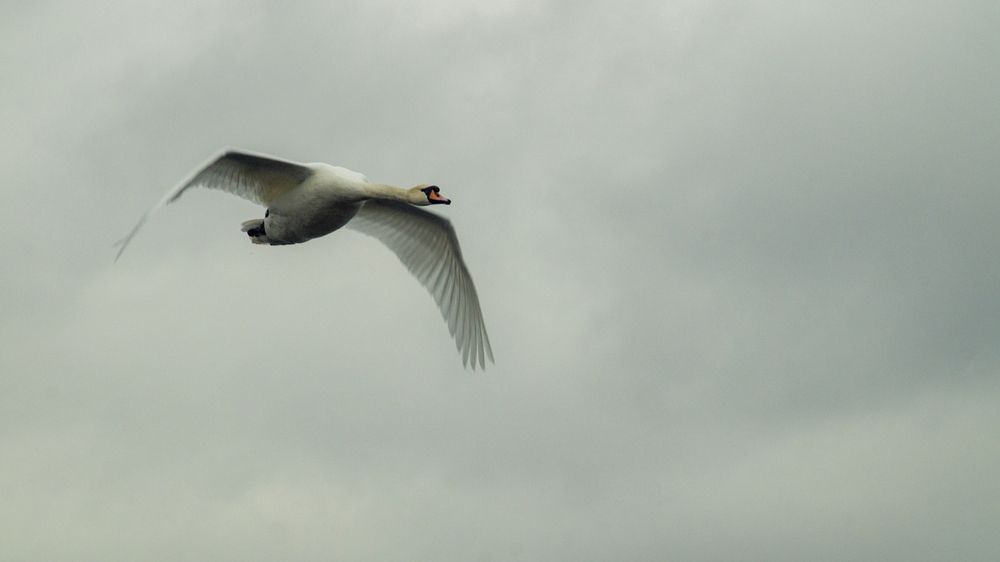 Photograph by Роман Чернышов